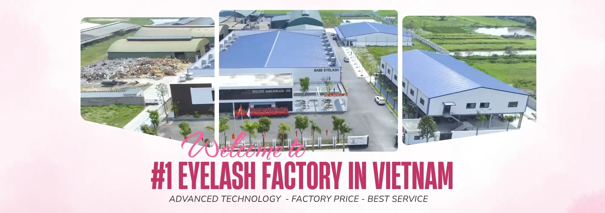 babe-eyelash-factory